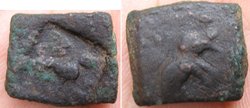 155 Elefant_Löwe klein.jpg