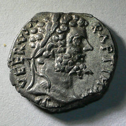 seev_av.jpg