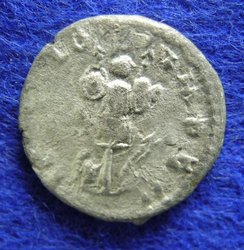2667b.jpg