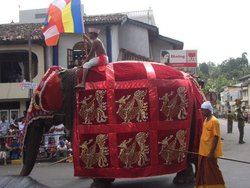 PERAHERA.jpg