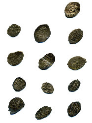 Schröttling2.jpg