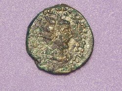 mh 001.jpg