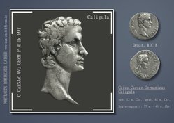 Caligula Kaiserportrait Denar RIC 8.jpg