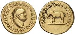 Titus_Aureus_Elephant_Kuenker_204.jpg