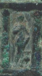 pudica02.jpg