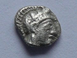Hemiobol-Eule2.JPG