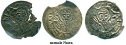 normale Nasen.jpg