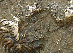 Gegenstempel.a..jpg