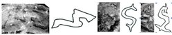Schrift 1.jpg