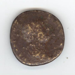 muenze_revers1.jpg