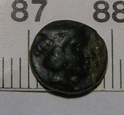 PICT2991new.jpg