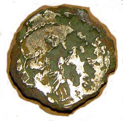 PICT3003RL1.jpg