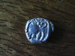 RIMG0059.jpg