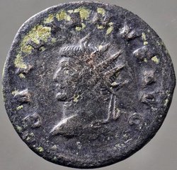 gallienus_goebl1628a_av.jpg