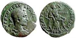 nikopolis_macrinus_AMNG1700.jpg