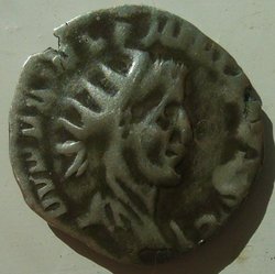 galli1.jpg