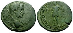 nikopolis_macrinus_HrJ(2011)8.23.34.7corr.jpg