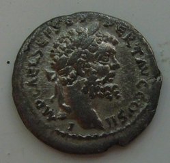sepsev1.jpg