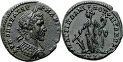 nikopolis_macrinus_HrJ(2011)8.23.38.1.jpg