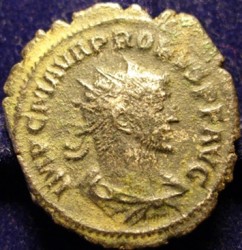 p3.JPG