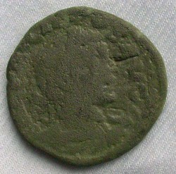 DSCI0121w.jpg