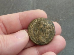 Septimius Severus AE30 Augusta Traiana AV.jpg