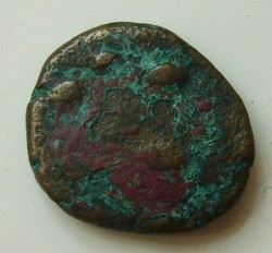elymais2.jpg