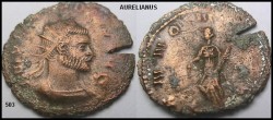 503 Aurelianus.JPG