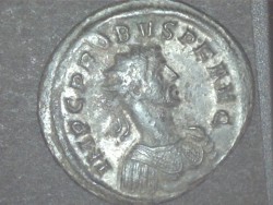 Probusa.jpg