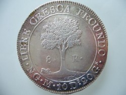 8 Reales 1.jpg