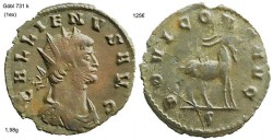 gallienus iovi cons avg6.jpg