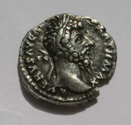 verus1.gif