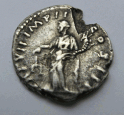verus2.gif