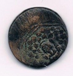 Münze8.jpg