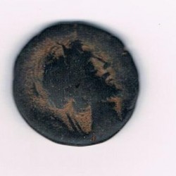 Münze10b.jpg