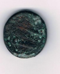 Münze11.jpg