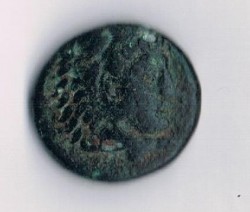 Münze11b.jpg
