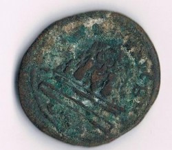 Münze20b.jpg