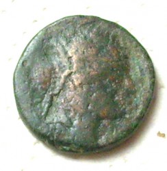 DSCI0318w.jpg