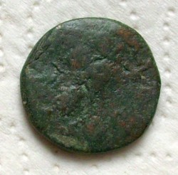 DSCI0323.JPG