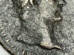 IMG_5977.JPG