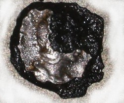1153_gefuettert_2.jpg