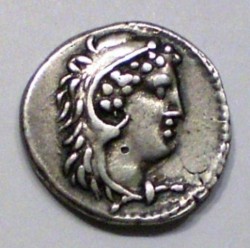 CIMG0074.JPG