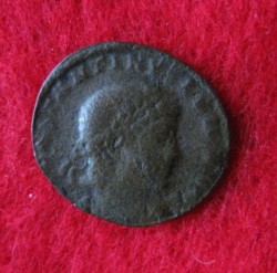 Follis (1).JPG