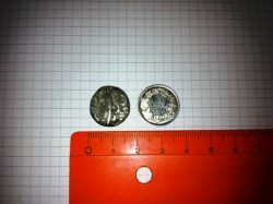 Foto11.jpg