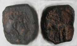 723_grasende_kuh.jpg