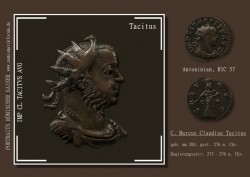 Tacitus Kaiserportrait Antoninian RIC 57.jpg