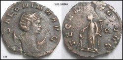 544 Salonina1.jpg