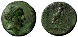 tarkondimotosI_SNGaulock5413.jpg