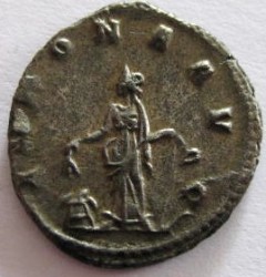 486f.JPG